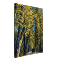28262cb5-7b80-4e50-88b8-daabdcd50a04